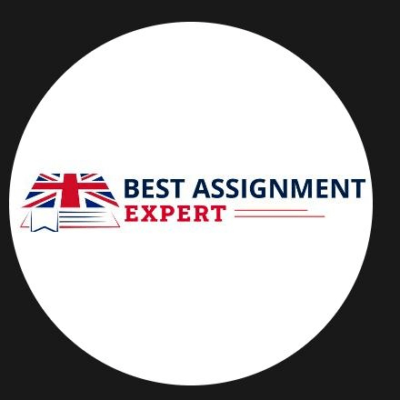 Best assignment expert