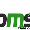 DMS Tree Removal