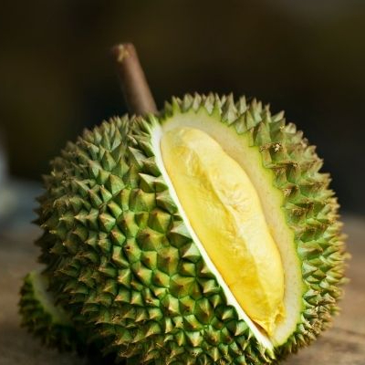 durian musang king