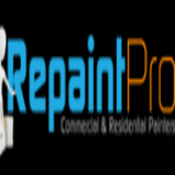 Repaint Pro