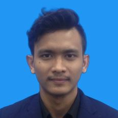 Muhammad Ameer Bin Abdul Halim Ameer