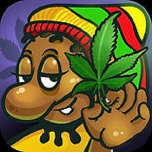 GANJA FARMER DC