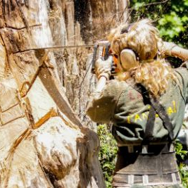 Laredo Tree Service Pros