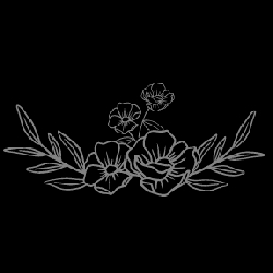 steel magnoliainc