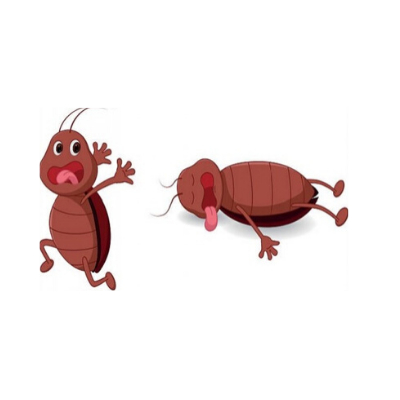Bestbedbug Treatment