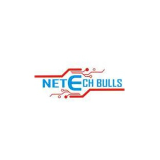 Netech Bulls