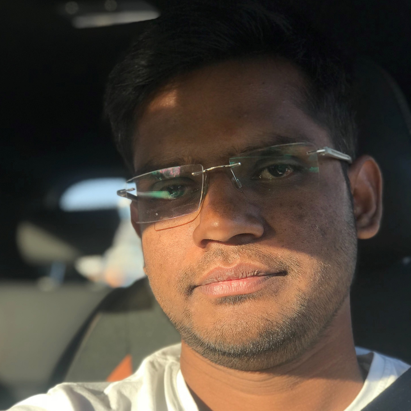 sreenivas Chattu